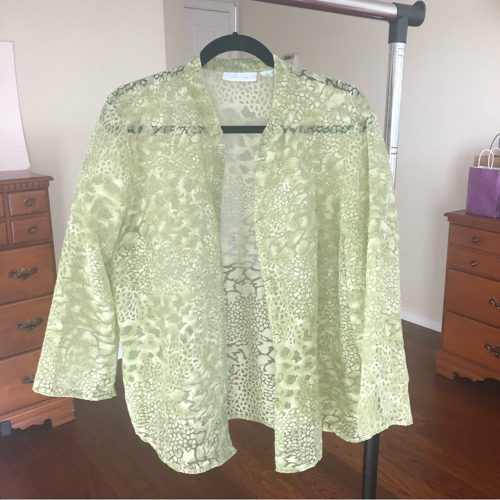 Vintage sheer cheetah animal print paste mint green button up blouse cardigan